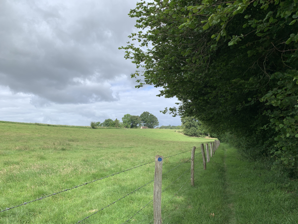 Dernier chemin avant la route du Village Fleuri et la D5.