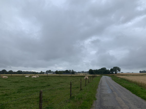 Nous sortons de Triquerville par la rue Andrée de Triquerville. Le ciel est menaçant, une bruine nous mouille par épisodes, mais les prévisions de la météo étaient rassurantes et vous allez voir les photos s'éclaircir tout au long du circuit.