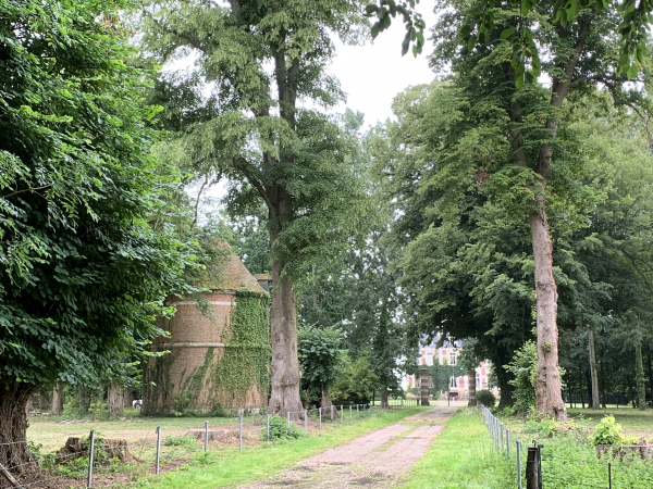 Nous marchons 600 mètres sur la D28 et découvrons le château de Triquerville au bout de son allée et, devant nous, son colombier.