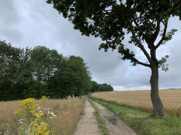 Nous rejoignons le GR2 qui va nous conduire sur une succession de chemins plus beaux les uns que les autres.