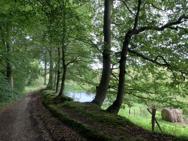 Nous sommes toujours sur le même chemin, mais il offre une grande varité de paysages.