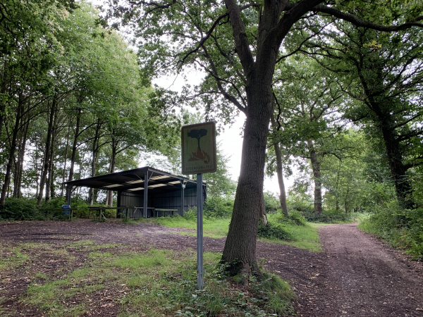 Nous entrons dans le bois de Canteleu (chant du loup). Un abri est offert aux randonneurs.