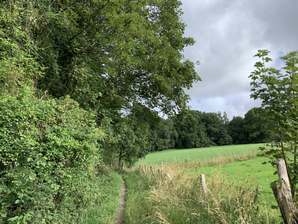 Après avoir traversé le lieu-dit Beauregard (Le nom est prometteur, et un belvédère a été construit à quelques dizaines de mètres de notre itinéraire), nous descendons dans la vallée du Théluet.