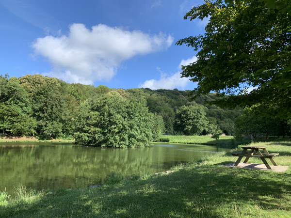 Nous longeons les étangs du Télhuet (voir d'autres photos sur l'album de la rando), et passons entre deux étangs pour rejoindre le Bois du Parc en face de nous.