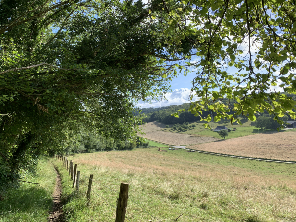 Nous sortons du Bois du Parc sur les hauteurs du vallon de Fontaineval.