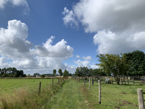 Nous avons traversé Touffreville-la-Cable, et suivons ce chemin entre prés et vergers jusqu'aux hauteurs de Triquerville.