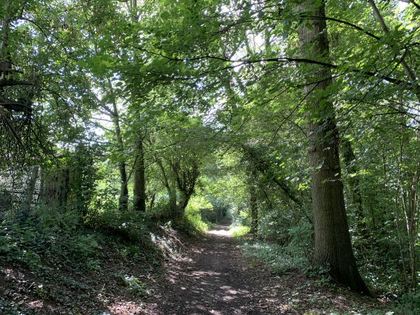 Nous entrons dans Triquerville par le Chemin des Ecoliers.