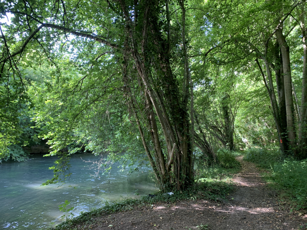 Le chemin longe maintenant l'Epte. Ce circuit est réputé pour ses panoramas, mais cette partie au bord de l'Epte est vraiment délicieuse. Plusieurs autres photos sont dans l'album de la rando.