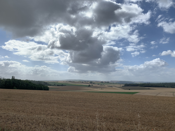 Nous quittons Bus-St-Rémy le long de ce beau dégagement vers le sud.