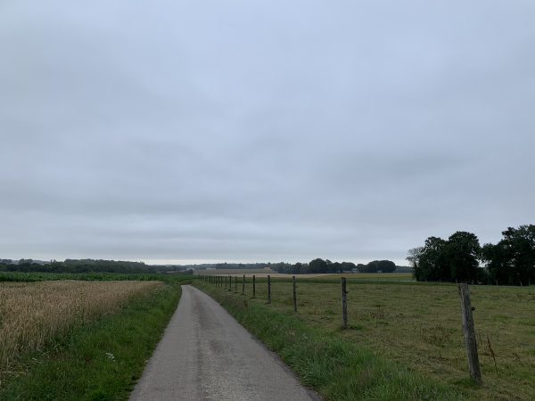 Les petites routes désertes alternent avec les chemins. On voit, avec ce paysage plat, la nécessité des clos-masures qui abritaient la ferme, son verger et ses animaux.