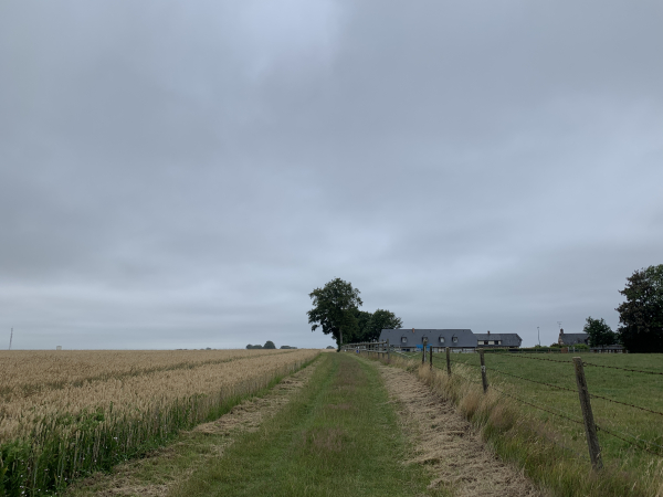 Encore un chemin parfaitement entretenu. Celui-ci nous mène vers la chapelle Saint-Gilles.
