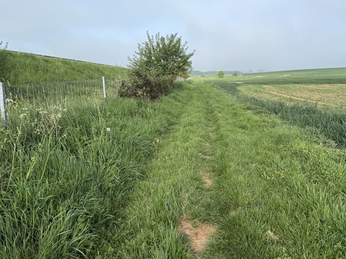 Le chemin semble charmant, mais sur le talus c'est l'A29. Le circuit longe l'autoroute sur 1500m.