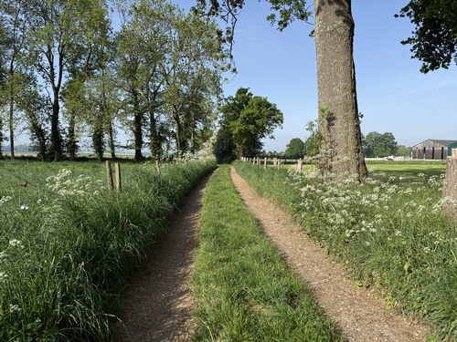 Contour d'Alvimbuc, direction Autretot.