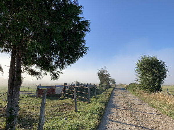 Nous quittons le bourg et traversons la plaine de St-Aubin-sur-Quillebeuf.