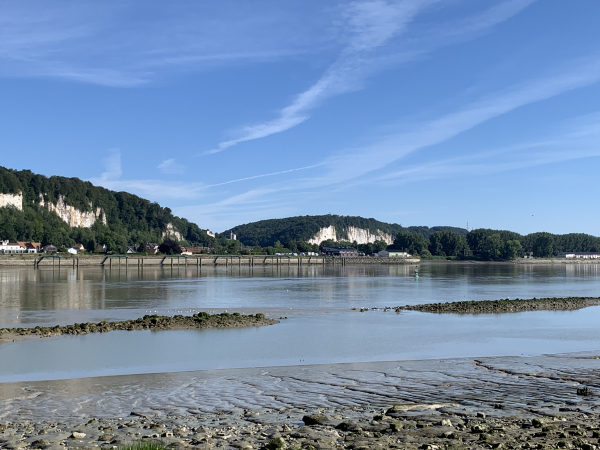 Le GR23 suit ici l'ancien chemin de halage. Sur l'autre rive, on peut apercevoir le château de Tancarville. La tour carrée est construite dès le XIIe siècle pour surveiller l'entrée en Seine, à la pointe de l'estuaire. Les comtes de Tancarville vont agrandir et aménager le château. Abandonné et fermé au public, il se dégrade depuis plusieurs années.