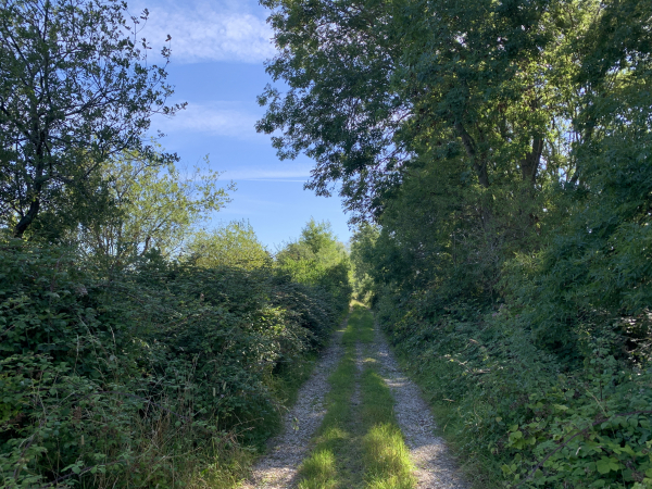L'ancien chemin de halage est désormais séparé de la Seine par la végétation sur une bonne partie de sa longueur.
