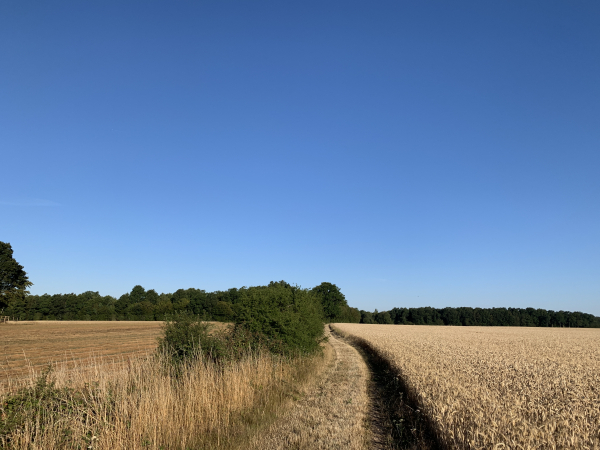 Contrairement au Circuit de la Vallée de la Risle (ou Circuit de Champignolles), nous ne tournons pas vers St-Aubin-sur-Risle, mais restons sur les chemins du plateau, parfaitement entretenus.