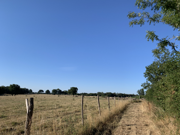 Après La Bonnelière, nous suivons les chemins vers Rubremont. Au lieu-dit le Perrey, les champs sont parsemés de poudingues, vestiges de l'ère glacière.