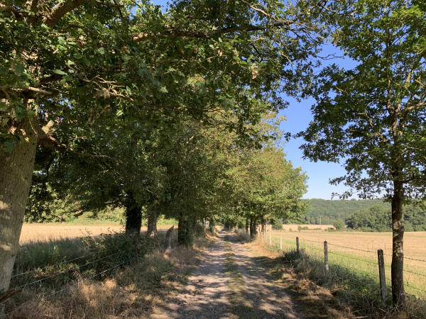 Nous passons à proximité du manoir Le Manet, caché derrière ses arbres, et descendons vers la vallée de la Risle.