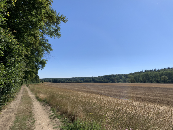 Nous longeons les champs de la vallée de la Risle entre les deux coteaux boisés.