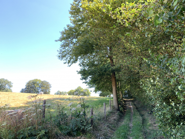 Les Coudréaux, chemin du Bois de la Marche.