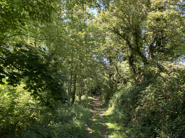Nous longeons Triquerville sur le Chemin des Ecoliers.