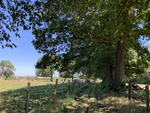 Le chemin de la Forge va nous descendre jusqu'au vallon du Bébec.