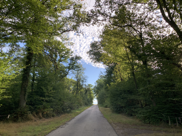 Nous partons de Puchay et suivons la petite route de Frileuse sur 2 kilomètres.
