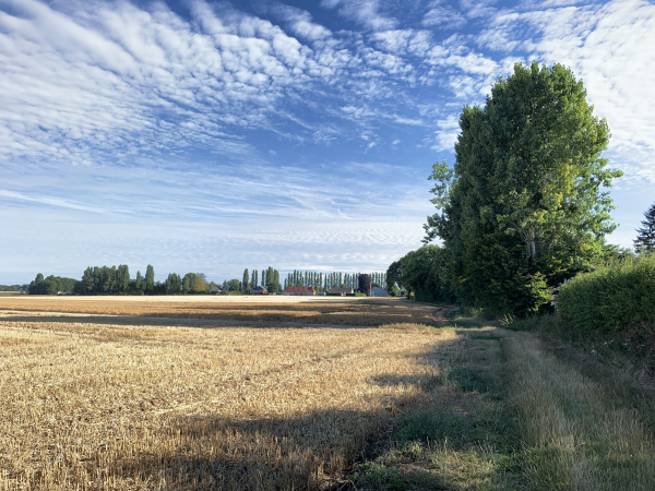 Nous contournons le bourg de la Neuve-Grange par ce chemin du Font Halleux.