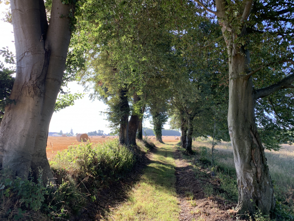 Chemin de la Croix Sainte-Marie.