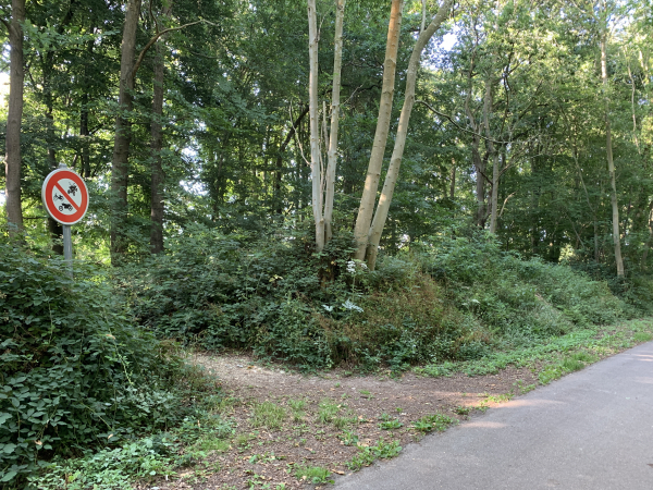 Nous quittons la Voie Verte dans le Bois de la Londe. Merci au panneau d'interdiction qui attiré notre attention ! La balise du GR210 est à quelques mètres dans le bois.