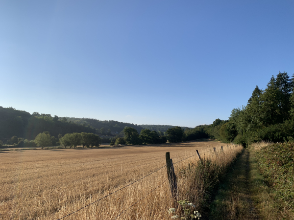 Voilà l'une des plus belles parties de cette étape : le GR210 suit la Scie dans la vallée au pied de la Plaine de Caumont.