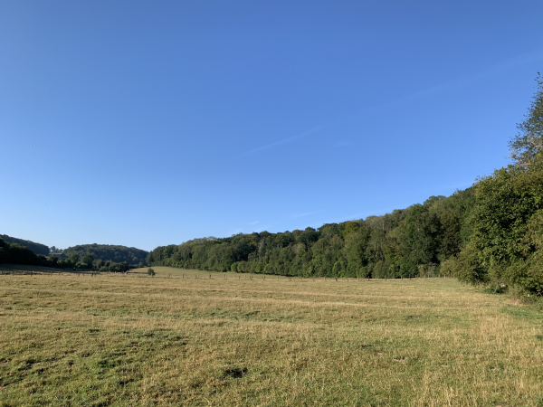 Nous sommes bien sur le GR210, dans la prairie équipée de passe-clôtures.