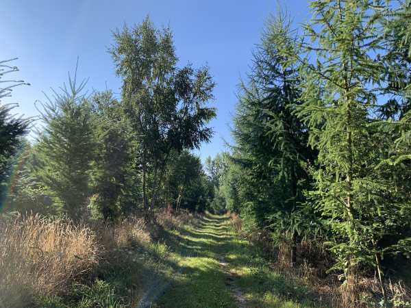 Nous avons passé Notre-Dame-du-Parc. (Si vous ne connaissez pas, faites le détour jusqu'à la petite église de ND-du-Parc, c'est aussi une aire de pique-nique).