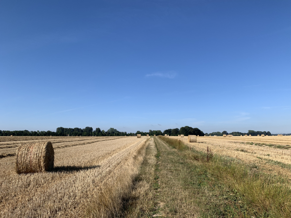 Nous traversons les Terres Béranger, au-dessus d'Auffay.