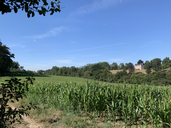 Château de St-Denis-sur-Scie de l'autre côté de la vallée.