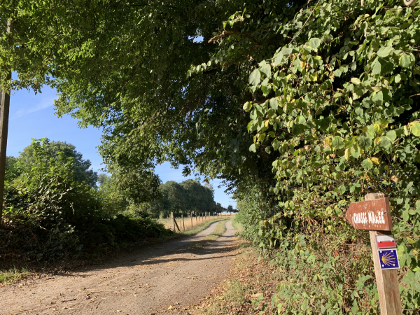 Nous prenons la direction d'Etaimpuis sur ce chemin triplement balisé du GR210, du Chasse-Marée et du chemin de Compostelle.