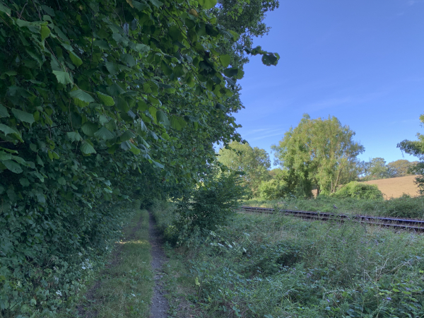 Nous sommes dans le bois de la Côte d'Ormesnil à Grugny. Le chemin longe ici la ligne Rouen-Dieppe.