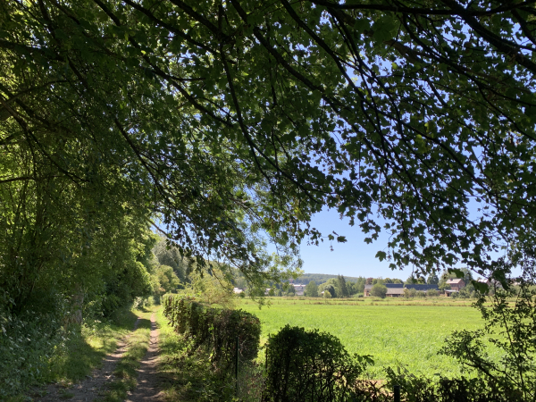 Nous suivons maintenant le somptueux chemin des Fontaines dans la vallée de la Clérette, en lisière du bois de la Côte du Mont Cauvaire.