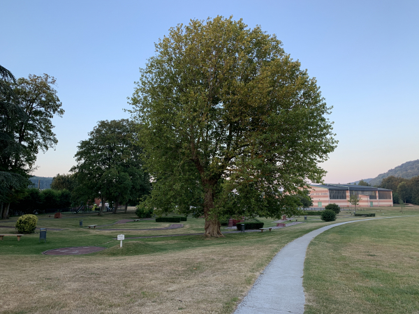 Nous démarrons cette 4ème étape à Montville. Le GR210 traverse le Parc de Loisir du Manoir.