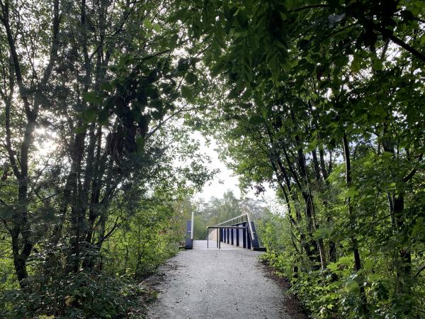 A la sortie de la forêt, une passerelle passe au-dessus d'une bretelle d'accès de l'A13 et nous conduit à l'entrée de Oissel.