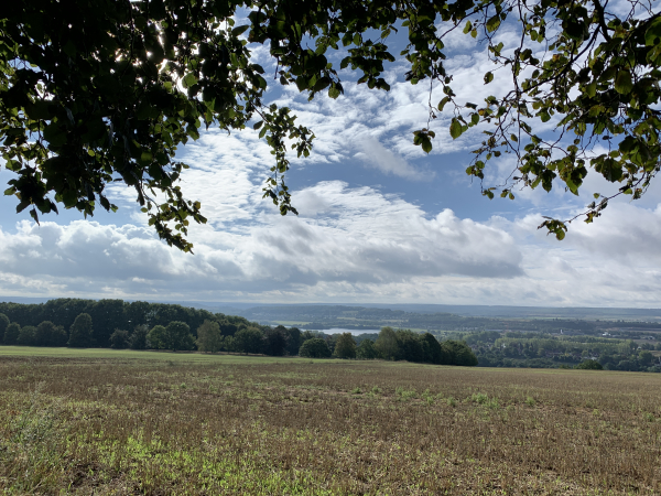 Vue sur la vallée de la Seine depuis le GR2, avant d'entrer en forêt.