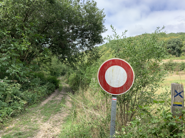 Après le Moulin des Roches à Brosville, nous suivons une variante du GR26 dans le Bois du Parc.