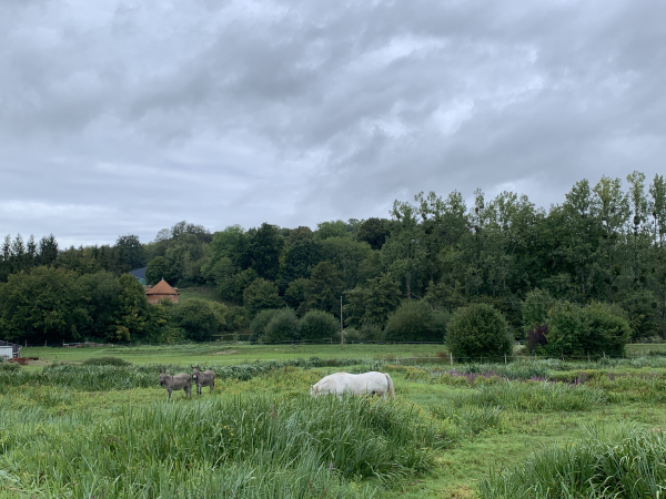 Nous arrivons à Fontaine-Châtel devant la zone humide du Crevon. Fontaine-Châtel possède l'une des dernières cressonnières de Seine-Maritime. Sur la hauteur, on distingue le colombier du château.