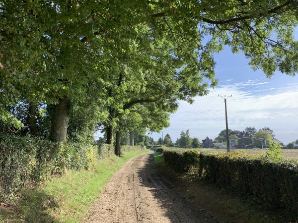 Nous entrons dans Longuerue par le charmant chemin de la Bouleautière.