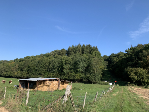 Regard arrière sur notre sortie de la forêt domaniale. Nous suivons maintenant le chemin de la ferme de la Jubinière.