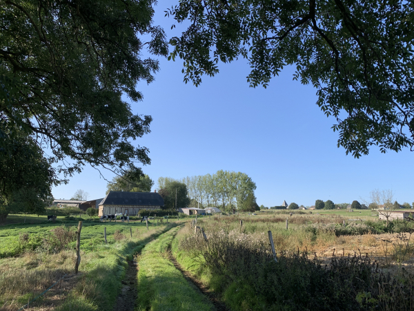 Nous arrivons au niveau de la ferme de la Jubinière, notre promenade se termine, on voit déjà pointer le clocher de l'église Saint-Médard.