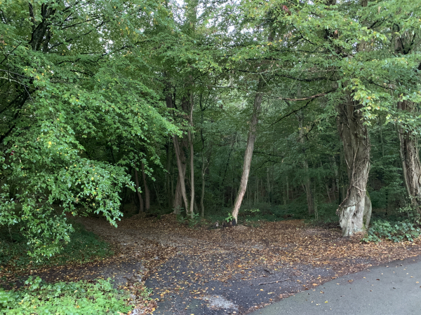 Rapidement après notre départ, nous quittons la rue du Val Monnier pour entrer dans les bois de Barc.