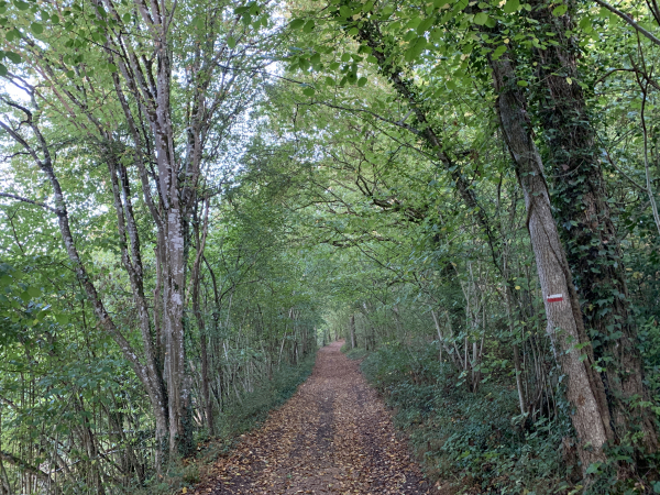 Nous ne suivons le GR224 que sur 300 mètres. Nous le quitterons pour monter vers la plaine des Carrières.