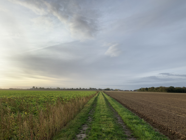 Nous prenons la direction des Authieux. Les chemins des plaines agricoles suivis par cet itinéraire sont parfaitement entrenus, fermes malgré la pluie incessante de ces derniers jours. Leur seul défaut, ils sont rectilignes. C'est sans doute idéal pour les agriculteurs, mais un peu monotone pour le randonneur, surtout en cette période, quand les champs sont vides.